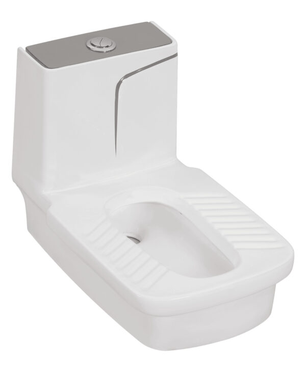 Designer Toilet - Privy