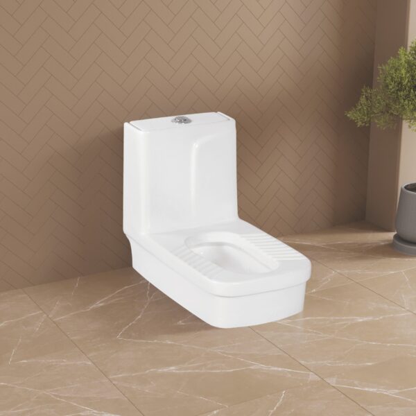 PRIVY TOILET